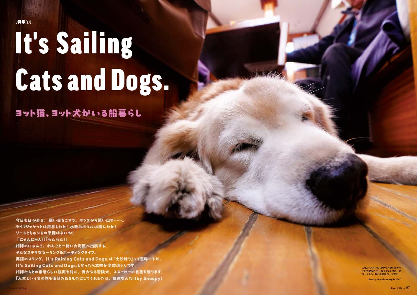 3月5日発売、月刊『Kazi』2026年4月号｜特集は「It's Sailing Cats and Dogs.｜ヨット猫、ヨット犬がいる船暮らし」