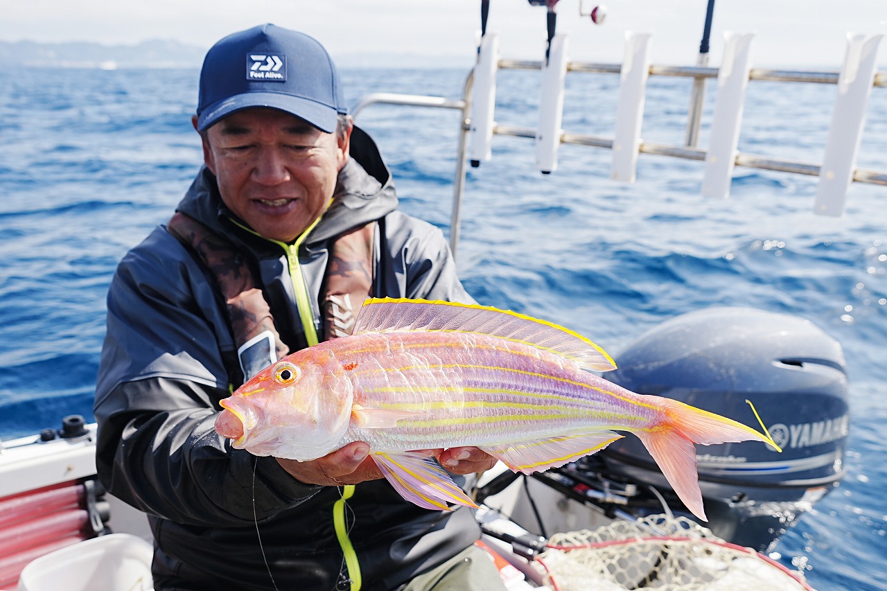 魚探の見方vol.25 東京湾湾口エリアの沖イカと金谷沖のイトヨリダイの魚探反応