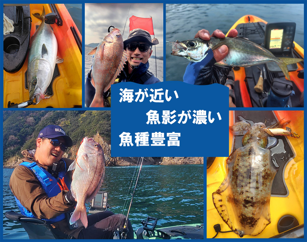 魚影濃厚な宇和海でカヤックフィッシングはいかが？｜ゲストハウス・キャンプ場「GO-HIGHTAKA」が注目のサービスをスタート